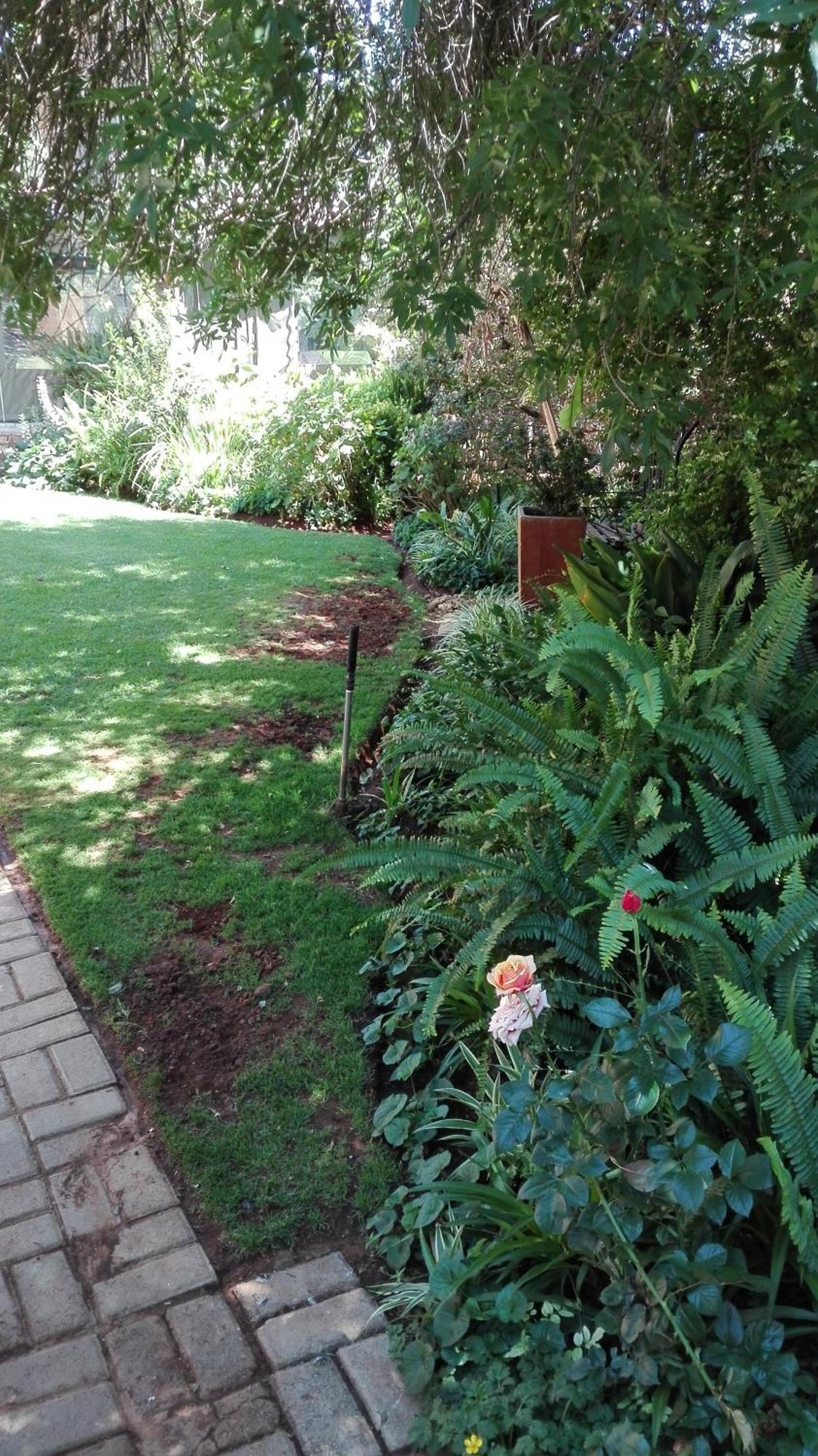 Ukarimu Guest House 克莱克斯多普 外观 照片